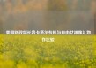 美国财政部长将卡塔尔专机与自由女神像礼物作比较