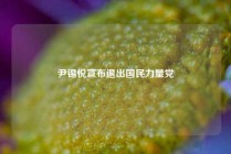尹锡悦宣布退出国民力量党