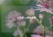 qq会员svip成长值表
