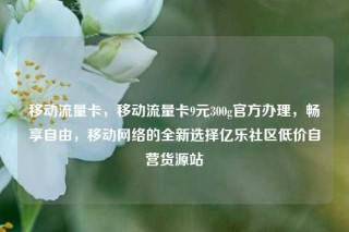 移动流量卡，移动流量卡9元300g官方办理，畅享自由，移动网络的全新选择亿乐社区低价自营货源站
