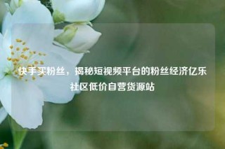 快手买粉丝，揭秘短视频平台的粉丝经济亿乐社区低价自营货源站