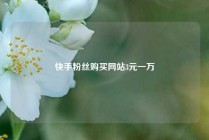 快手粉丝购买网站3元一万