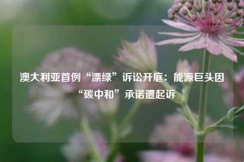 澳大利亚首例“漂绿	”诉讼开庭：能源巨头因“碳中和”承诺遭起诉  第1张
