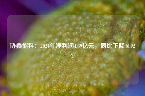 协鑫能科：2024年净利润4.89亿元	，同比下降46.92%  第1张