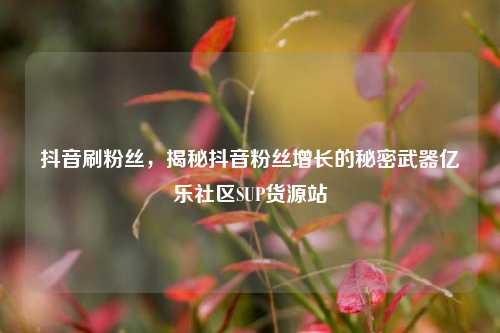 抖音刷粉丝，揭秘抖音粉丝增长的秘密武器亿乐社区SUP货源站  第1张