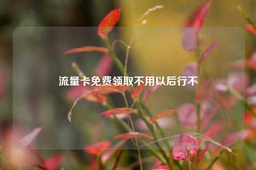 流量卡免费领取不用以后行不  第1张