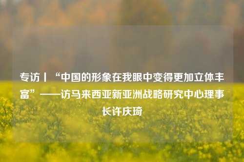 专访丨“中国的形象在我眼中变得更加立体丰富”——访马来西亚新亚洲战略研究中心理事长许庆琦  第1张