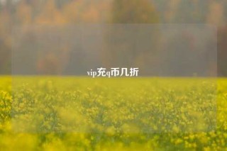 vip充q币几折