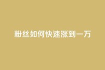 粉丝如何快速涨到一万,ks在线业务 - 哔站业务自助 - dy低价下单平台最便宜