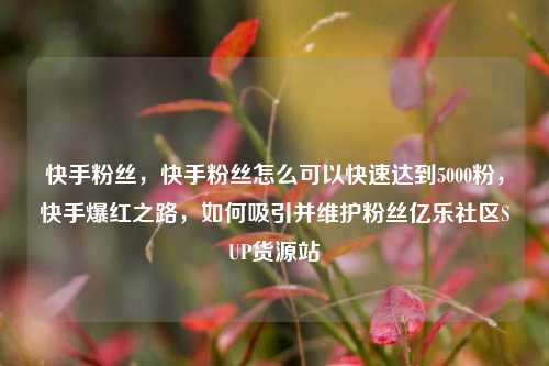 快手粉丝，快手粉丝怎么可以快速达到5000粉	，快手爆红之路，如何吸引并维护粉丝亿乐社区SUP货源站  第1张