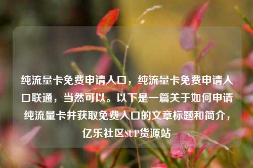 纯流量卡免费申请入口，纯流量卡免费申请入口联通，当然可以。以下是一篇关于如何申请纯流量卡并获取免费入口的文章标题和简介	，亿乐社区SUP货源站  第1张