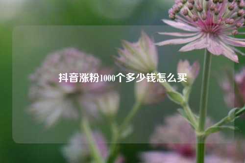 抖音涨粉1000个多少钱怎么买  第1张