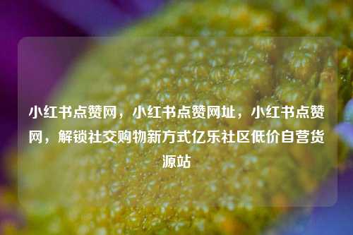 小红书点赞网，小红书点赞网址	，小红书点赞网，解锁社交购物新方式亿乐社区低价自营货源站  第1张