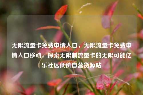 无限流量卡免费申请入口，无限流量卡免费申请入口移动	，探索无限制流量卡的无限可能亿乐社区低价自营货源站  第1张