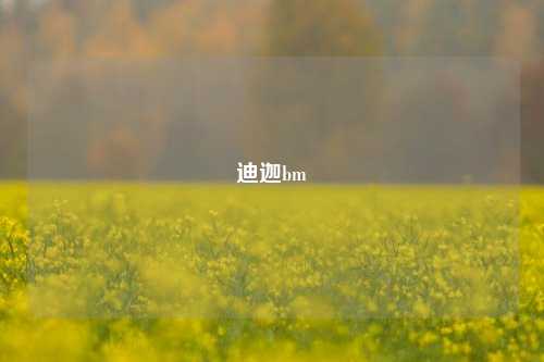 迪迦bm  第1张