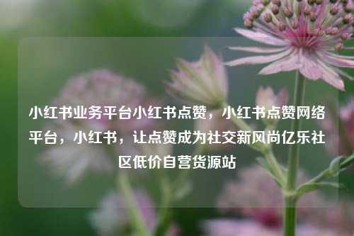 小红书业务平台小红书点赞	，小红书点赞网络平台，小红书，让点赞成为社交新风尚亿乐社区低价自营货源站  第1张