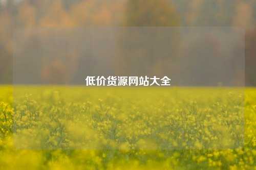 低价货源网站大全  第1张