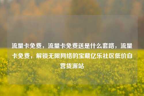 流量卡免费，流量卡免费送是什么套路，流量卡免费，解锁无限网络的宝藏亿乐社区低价自营货源站  第1张