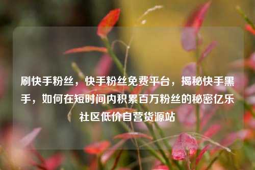 刷快手粉丝	，快手粉丝免费平台，揭秘快手黑手，如何在短时间内积累百万粉丝的秘密亿乐社区低价自营货源站  第1张