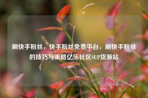 刷快手粉丝，快手粉丝免费平台，刷快手粉丝的技巧与策略亿乐社区SUP货源站  第1张