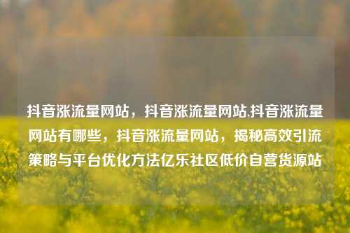 抖音涨流量网站	，抖音涨流量网站,抖音涨流量网站有哪些，抖音涨流量网站，揭秘高效引流策略与平台优化方法亿乐社区低价自营货源站  第1张
