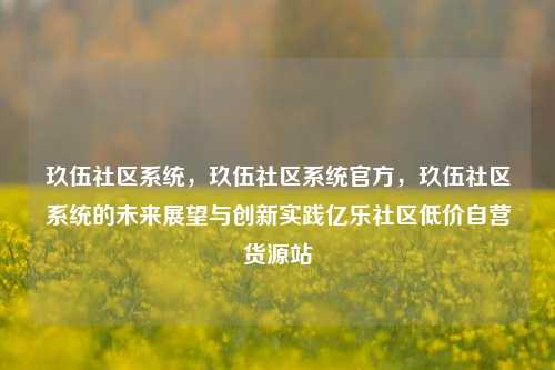 玖伍社区系统，玖伍社区系统官方，玖伍社区系统的未来展望与创新实践亿乐社区低价自营货源站  第1张