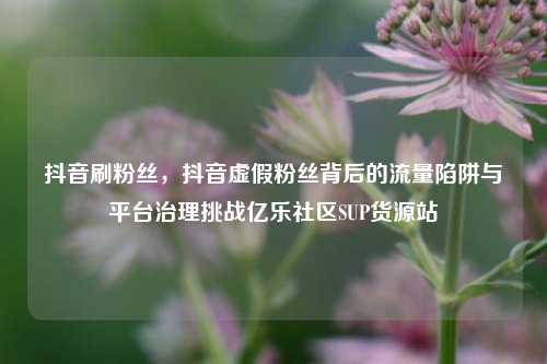 抖音刷粉丝，抖音虚假粉丝背后的流量陷阱与平台治理挑战亿乐社区SUP货源站  第1张